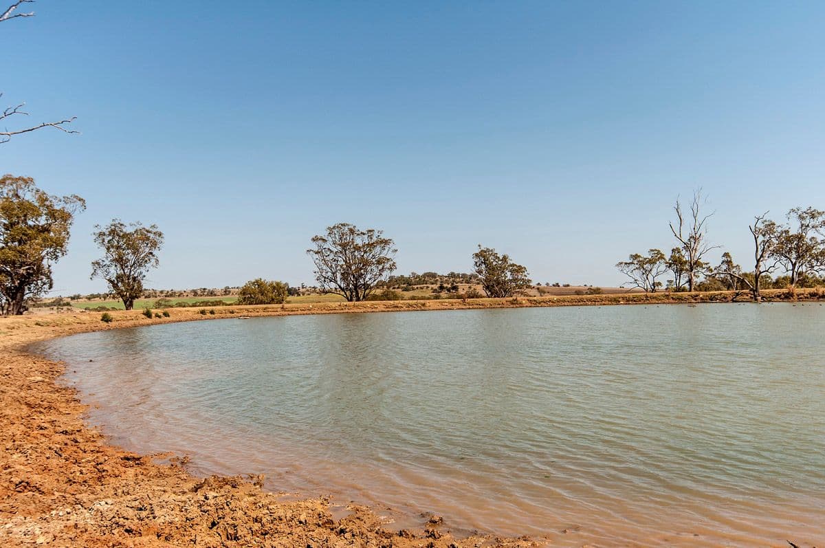 "Bevell-Dean" Lot 1 Millmerran Road, YARRANLEA QLD 4356, Yarranlea - Thumbnail 5