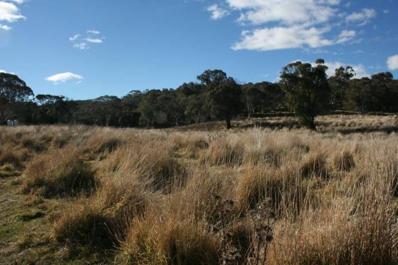 Lot 1 'Eagle View" Collemondah Road, SHANNONS FLAT NSW 2630, Shannons Flat - Thumbnail 3