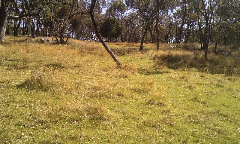 MEADOW FLAT NSW 2795, Meadow Flat - Thumbnail 7