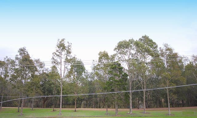 77A Gascoigne Road, BIRRONG NSW 2143, Birrong - Thumbnail 7