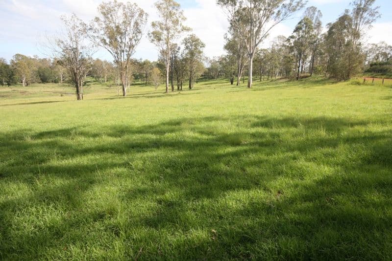  639 Lower Kangaroo Creek Road, KANGAROO CREEK NSW 2460, Kangaroo Creek - Thumbnail 3