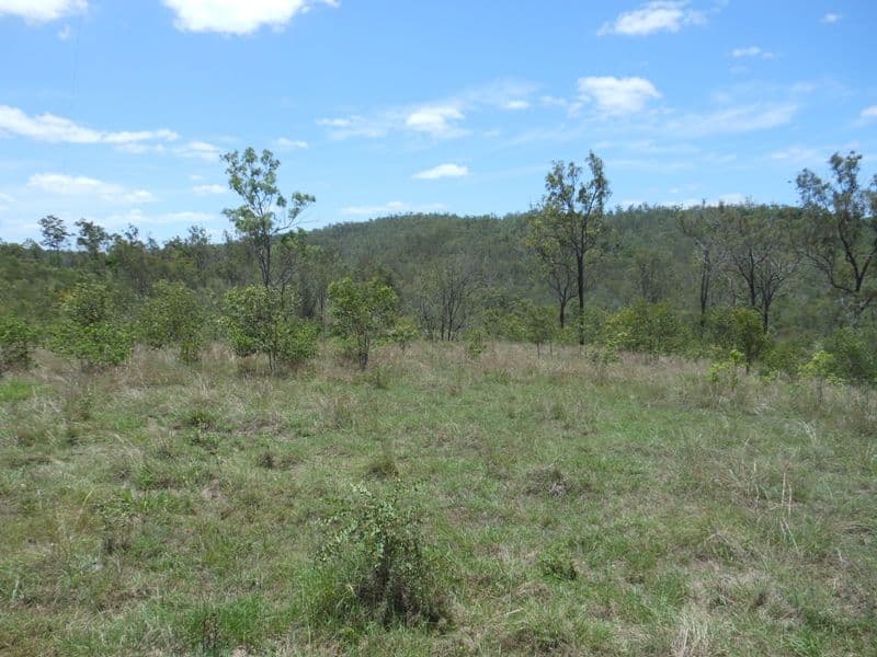 728 Tenningering Road, GOOD NIGHT QLD 4671, Good Night - Thumbnail 2