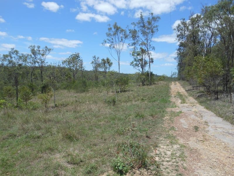 728 Tenningering Road, GOOD NIGHT QLD 4671, Good Night - Thumbnail 6