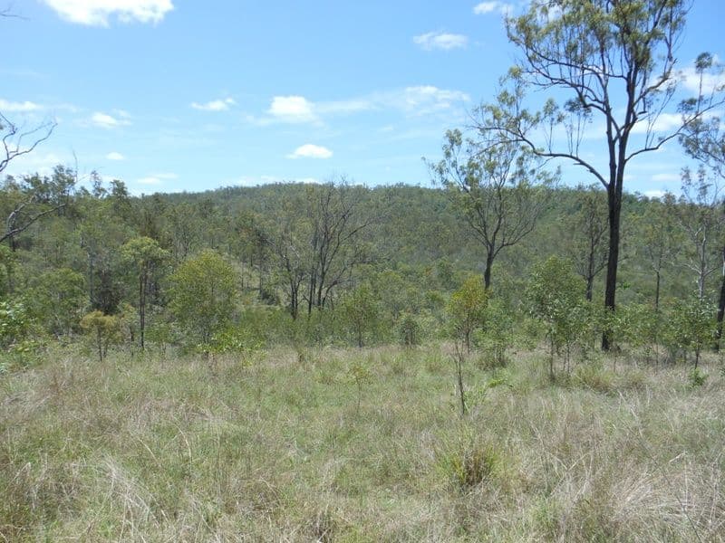 728 Tenningering Road, GOOD NIGHT QLD 4671, Good Night - Thumbnail 7