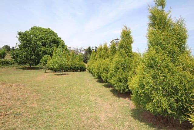 607 Jaunter Road, OBERON NSW 2787, Oberon - Thumbnail 3
