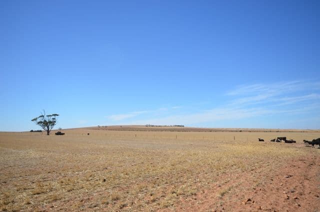 "Ashby's" Bumbunga via, SNOWTOWN SA 5520, Snowtown - Thumbnail 5