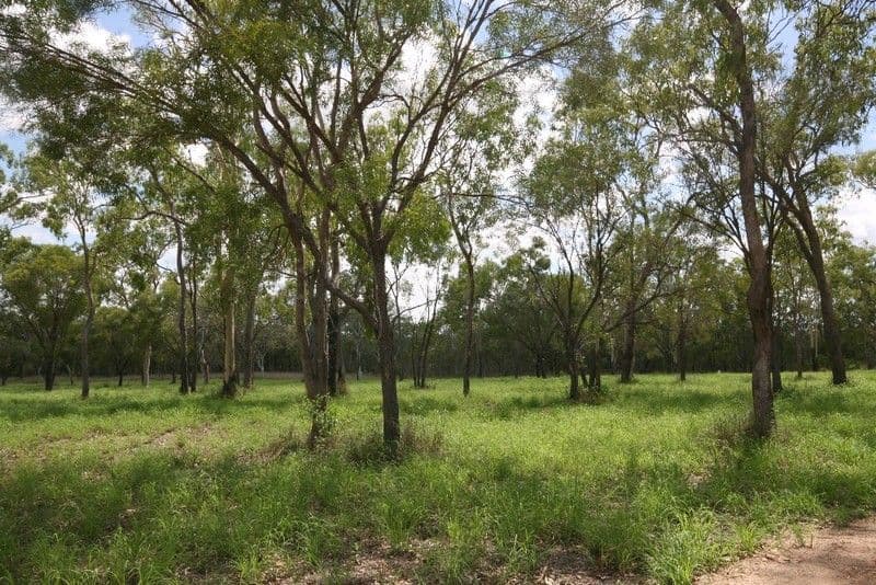 BIBOOHRA QLD 4880, Biboohra - Thumbnail 3