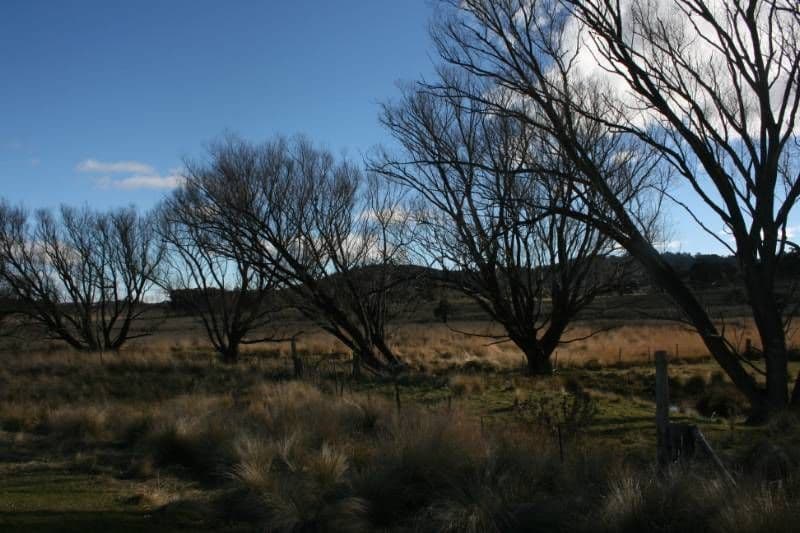 Lot 7 Callemondah Road, SHANNONS FLAT NSW 2630, Shannons Flat - Thumbnail 2