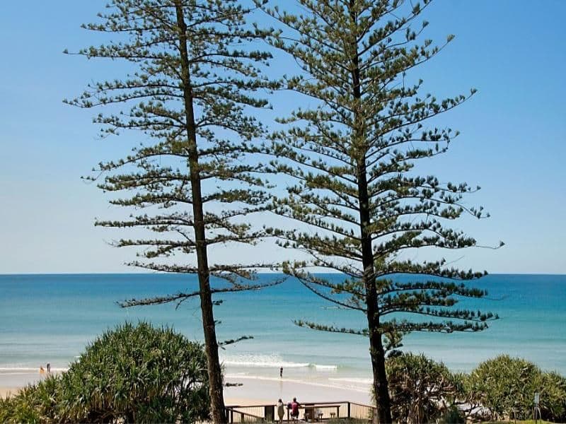 1770 DAVID LOW Way, COOLUM BEACH QLD 4573, Coolum Beach - Image 1