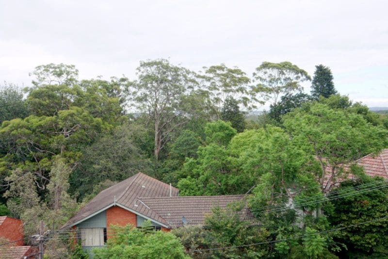  254 Pacific Highway, LINDFIELD NSW 2070, Lindfield - Thumbnail 3