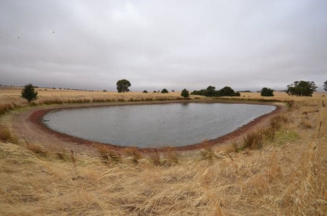 "Nunyara" Dust Bowl Road, MURRAY TOWN SA 5481, Murray Town - Thumbnail 6