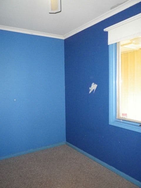 12 Jones Street, BERRI SA 5343, Berri - Thumbnail 4