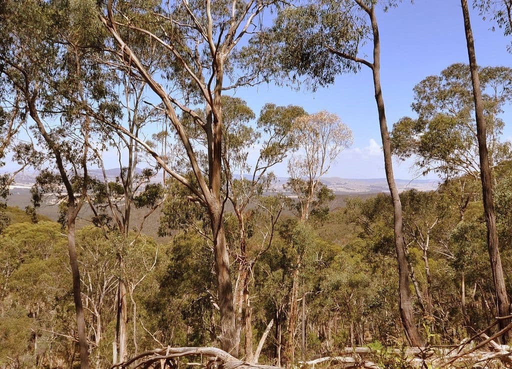 CA121C Mountain Hut Track, AMPHITHEATRE VIC 3468, Amphitheatre - Thumbnail 2