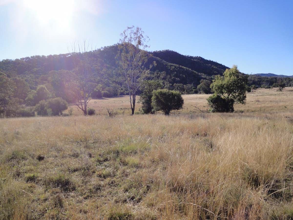 Lot 1, 2 and 6 Dorman's Gully Road, BUNYA MOUNTAINS QLD 4405, Bunya Mountains - Thumbnail 2