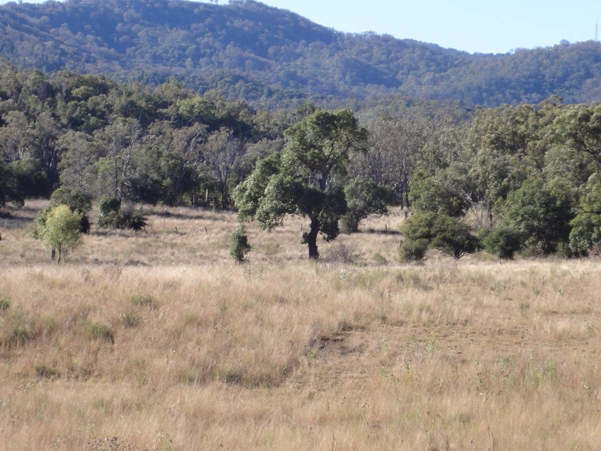Lot 1, 2 and 6 Dorman's Gully Road, BUNYA MOUNTAINS QLD 4405, Bunya Mountains - Thumbnail 3