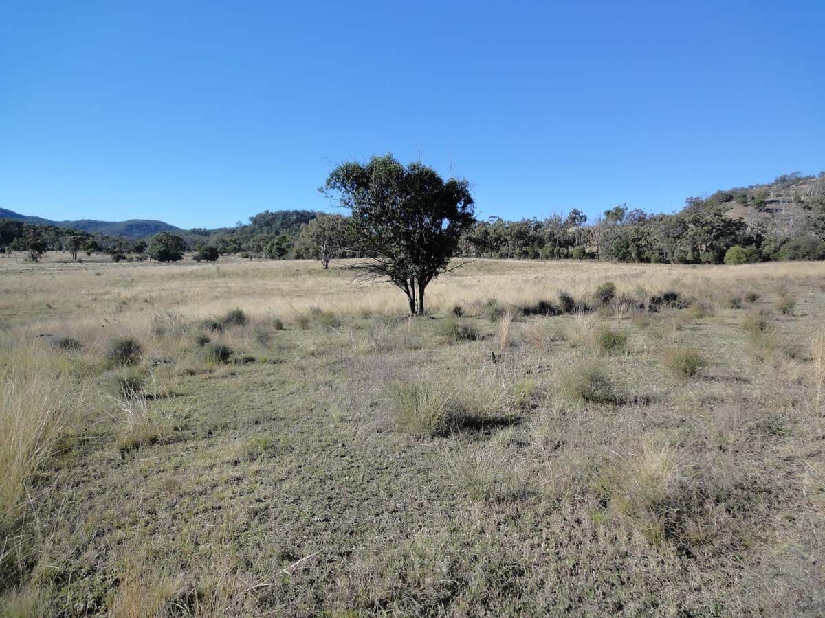 Lot 1, 2 and 6 Dorman's Gully Road, BUNYA MOUNTAINS QLD 4405, Bunya Mountains - Thumbnail 5