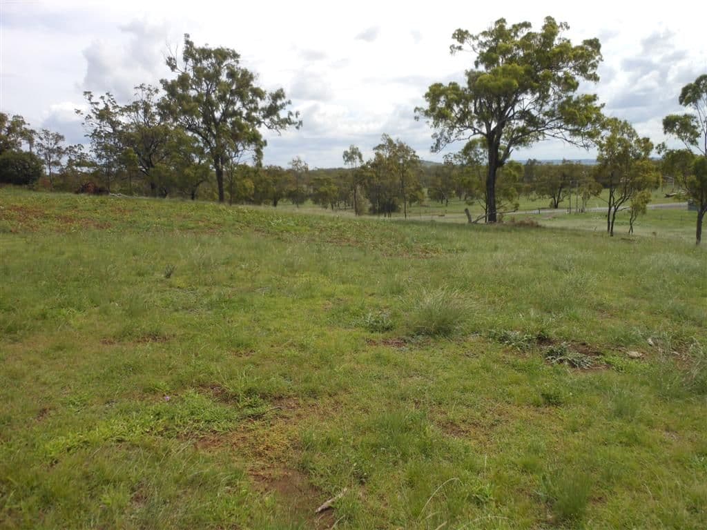 Lot 7 Drayton-Wellcamp Road, GLENVALE QLD 4350, Glenvale - Thumbnail 2