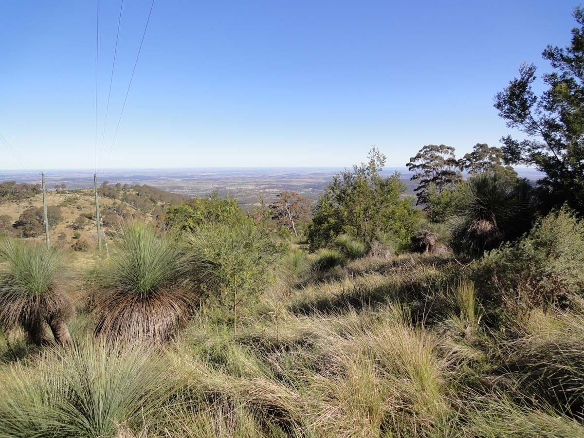 Lot 1, 2 and 6 Dorman's Gully Road, BUNYA MOUNTAINS QLD 4405, Bunya Mountains - Thumbnail 8