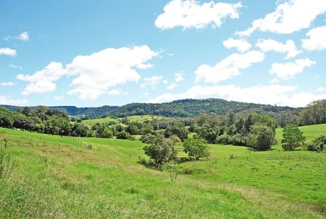 42 Croziers Road, BERRY NSW 2535, Berry - Image 1