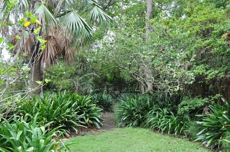 29 Russell Street, WOONONA NSW 2517, Woonona - Thumbnail 3