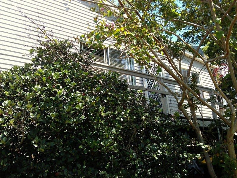 35 Palmer Street, NAMBUCCA HEADS NSW 2448, Nambucca Heads - Thumbnail 2
