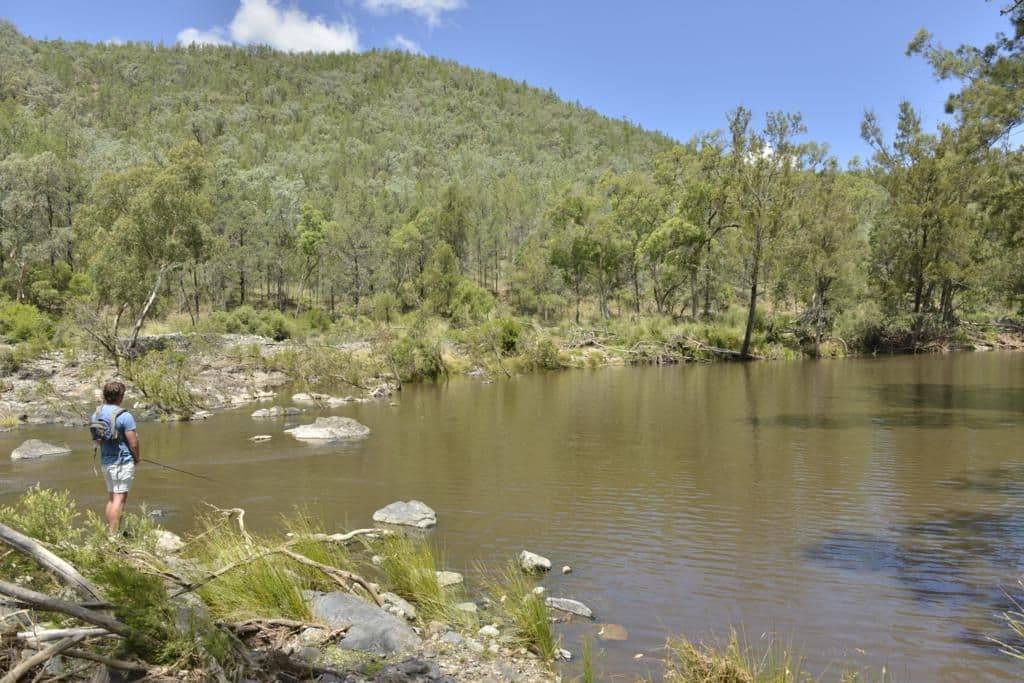 Lots 541 and 543 Bruxner Highway, TENTERFIELD NSW 2372, Tenterfield - Image 1