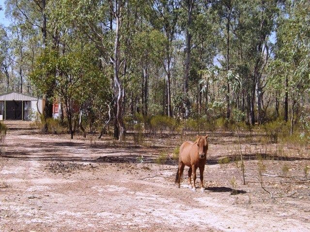Lot 2 Wappentake Road, HEATHCOTE VIC 3523, Heathcote - Thumbnail 7