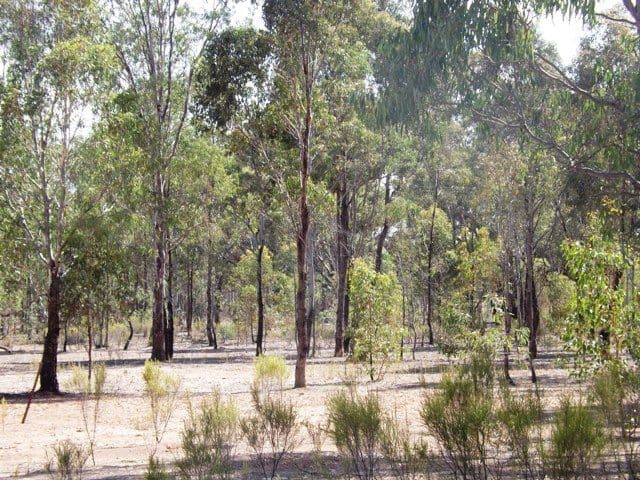 Lot 2 Wappentake Road, HEATHCOTE VIC 3523, Heathcote - Thumbnail 4