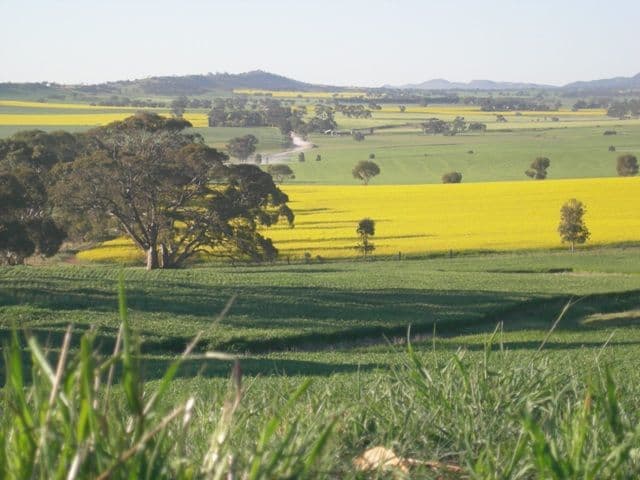 "Hewey's" Tothill Creek via, MARRABEL SA 5413, Marrabel - Image 1