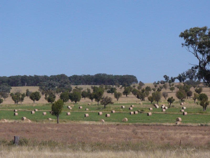 * 'MURRUMBONG', PURLEWAUGH NSW 2357, Purlewaugh - Thumbnail 3