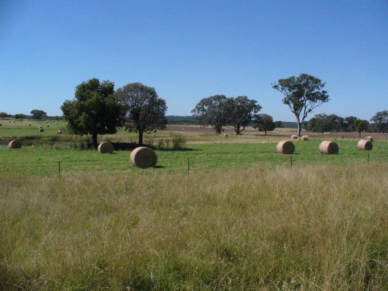 * 'MURRUMBONG', PURLEWAUGH NSW 2357, Purlewaugh - Thumbnail 6