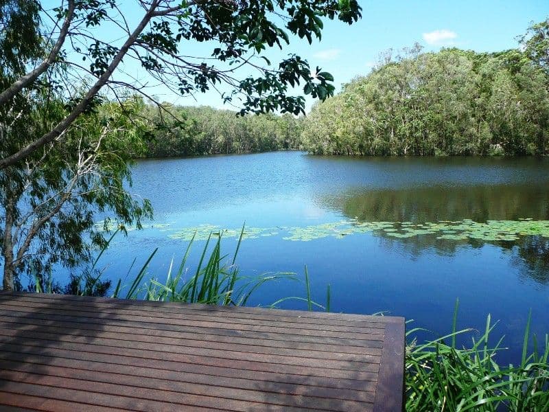 72 Tamarind Avenue, CABARITA BEACH NSW 2488, Cabarita Beach - Thumbnail 4