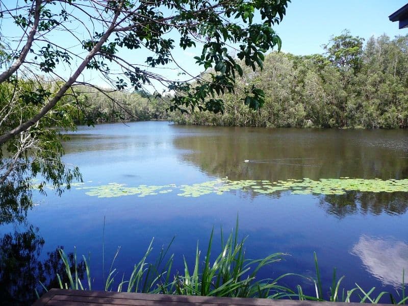 72 Tamarind Avenue, CABARITA BEACH NSW 2488, Cabarita Beach - Thumbnail 2