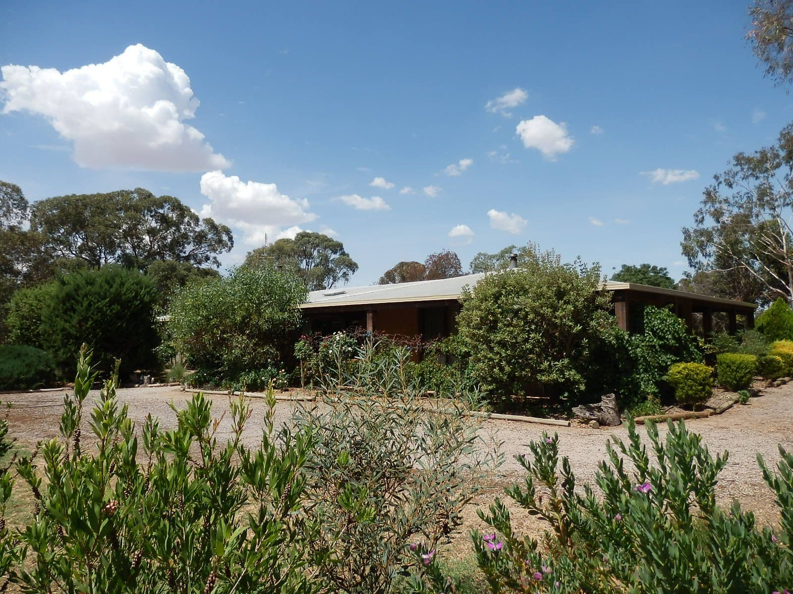 ECHUCA VIC 3564, Echuca - Thumbnail 3