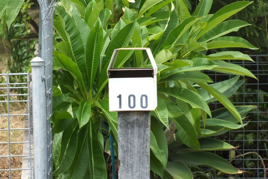 100 Callandoon Street, GOONDIWINDI QLD 4390, Goondiwindi - Thumbnail 6