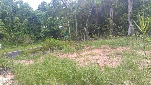 80 Cutten Street, MISSION BEACH QLD 4852, Mission Beach - Thumbnail 3