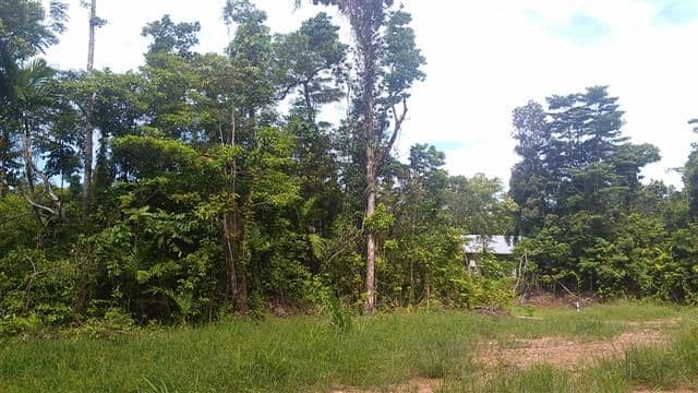 80 Cutten Street, MISSION BEACH QLD 4852, Mission Beach - Thumbnail 8