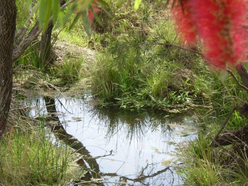 TOOGOOLAWAH QLD 4313, Toogoolawah - Thumbnail 5