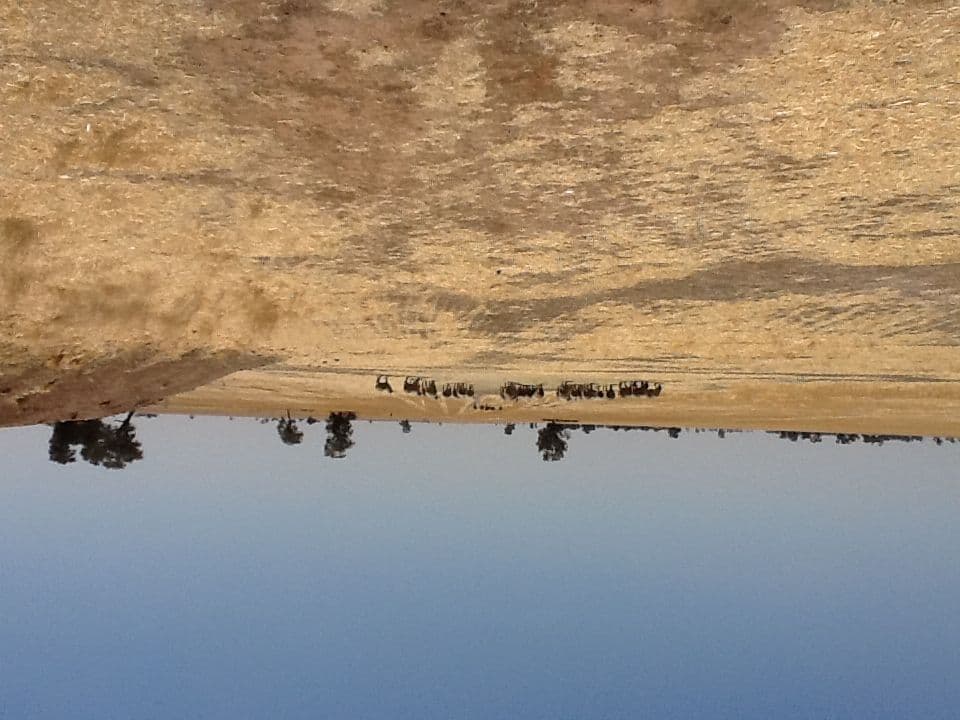 00 St Arnaud Wycheproof Road, SUTHERLAND VIC 3478, Sutherland - Thumbnail 3
