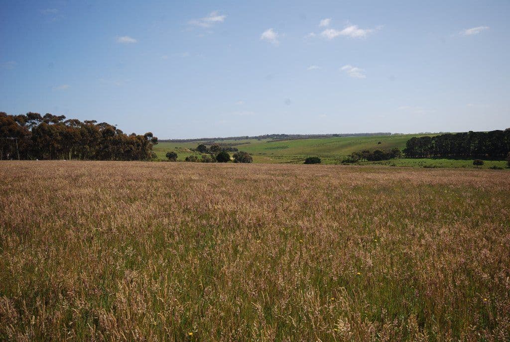 29 West Street, LISMORE  Victoria  3324, Australia, Lismore - Thumbnail 2