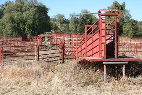 Coonamble NSW 2829, Coonamble - Thumbnail 3