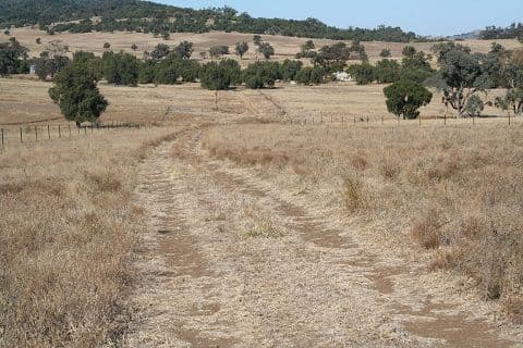 Coonamble NSW 2829, Coonamble - Thumbnail 5