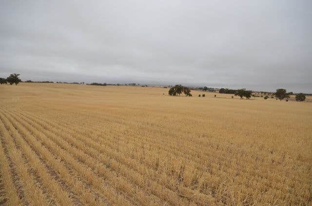 "Nunyara" Dust Bowl Road, MURRAY TOWN SA 5481, Murray Town - Thumbnail 8