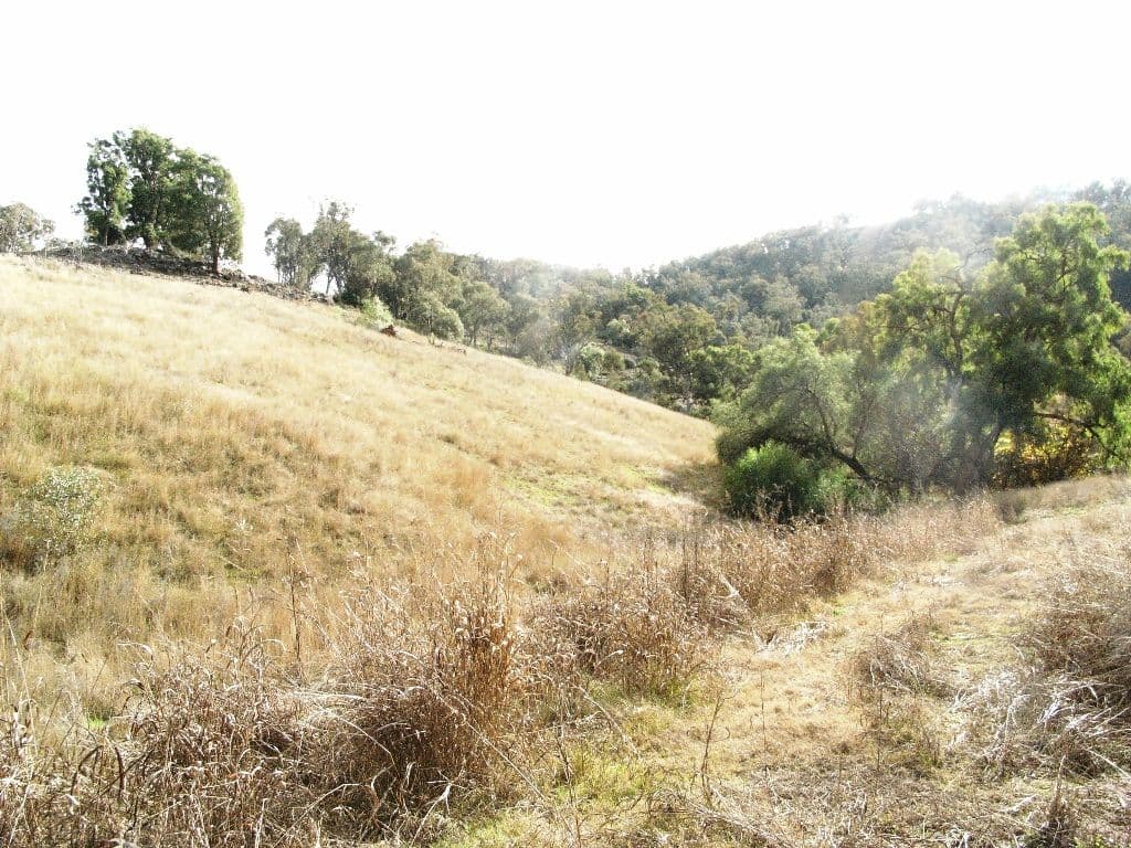 1645 Nundle Road, DUNGOWAN NSW 2340, Dungowan - Thumbnail 7