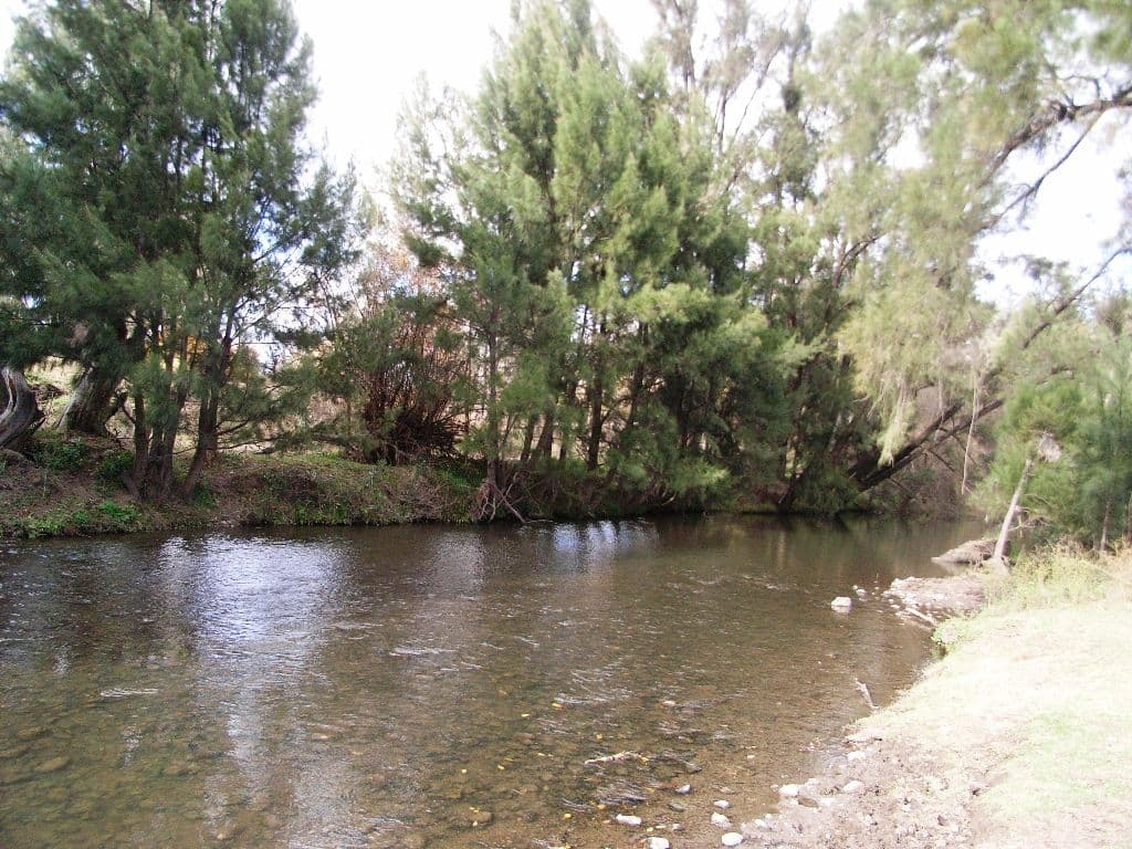 1645 Nundle Road, DUNGOWAN NSW 2340, Dungowan - Image 1