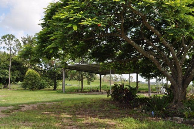 1139 Mt Martin Loop Road, MOUNT MARTIN QLD 4754, Mount Martin - Thumbnail 2