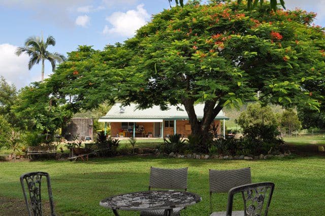 1139 Mt Martin Loop Road, MOUNT MARTIN QLD 4754, Mount Martin - Image 1