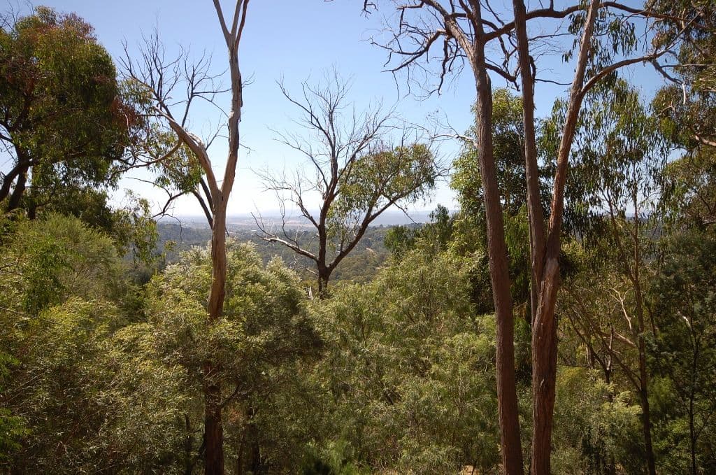 48 Inverness Road, KALORAMA VIC 3766, Kalorama - Thumbnail 3