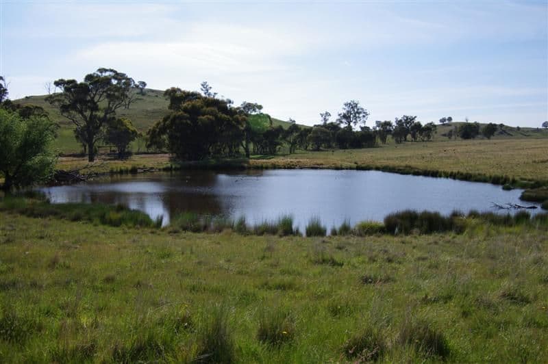 306 Clifton Ring Road, HOLBROOK NSW 2644, Holbrook - Thumbnail 5