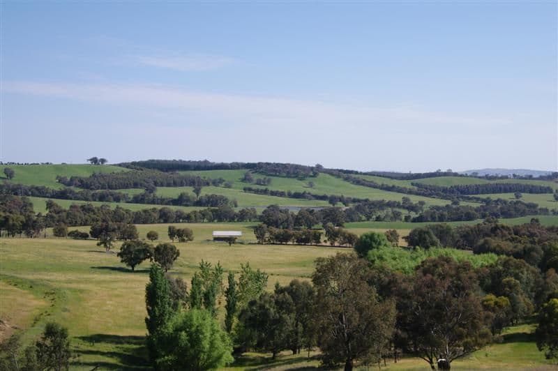 306 Clifton Ring Road, HOLBROOK NSW 2644, Holbrook - Thumbnail 3